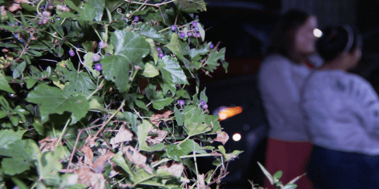 Venezuelan asylum seekers in D.C. face uncertain future amid Trump's deportation plans