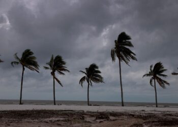 What To Know About Tropical Storm Sara
