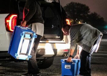 What do South Carolina election results mean? Here's a closer look