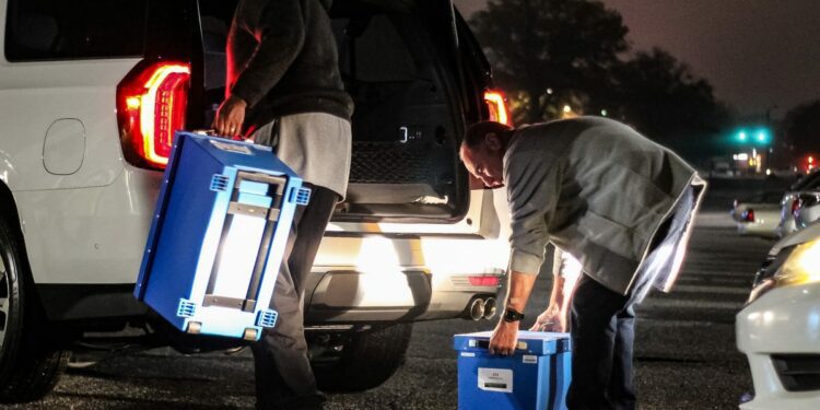 What do South Carolina election results mean? Here's a closer look