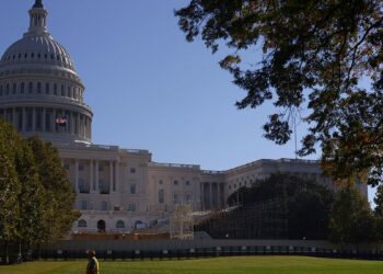 What will Washington see after America votes? – Firstpost