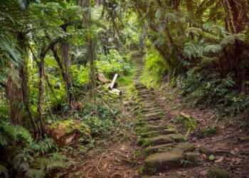 12 of the Best Hikes in South America