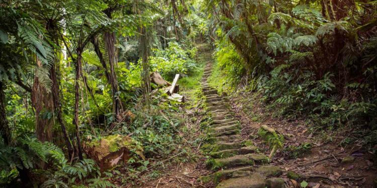 12 of the Best Hikes in South America