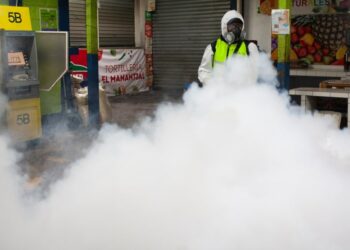 12.6 million cases - Latin America is experiencing a severe dengue epidemic