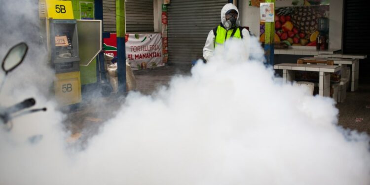12.6 million cases - Latin America is experiencing a severe dengue epidemic
