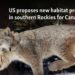 US proposes new habitat protections in southern Rockies for Canada lynx