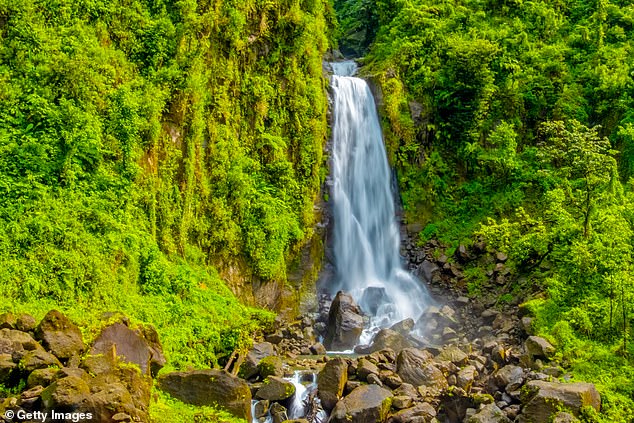 'Dominica¿s landscape is more lush, more verdant, than any other Caribbean island,' writes Mark. Above, the impressive Trafalgar Falls