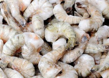America to impose duties on overseas shrimp | News