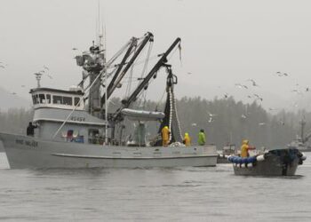 Coast Guard searches for 5 people after a fishing boat reportedly capsized in seas off Alaska