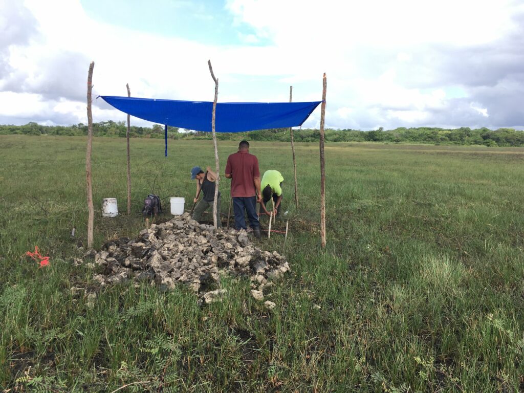 Earliest fish-trapping facility in Central America discovered in Maya lowlands