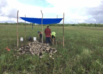 Earliest fish-trapping facility in Central America discovered in Maya lowlands