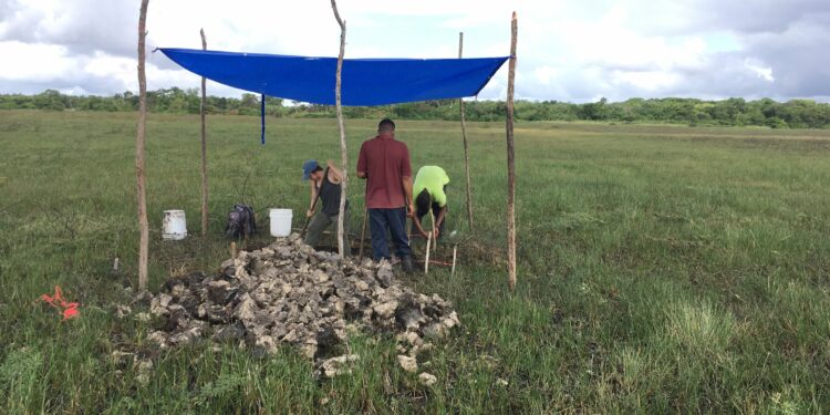 Earliest fish-trapping facility in Central America discovered in Maya lowlands