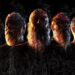 Meshuggah Announce 2025 North American Tour with Cannibal Corpse and Carcass