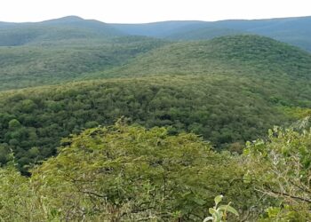 Challenges and opportunities for sustainability in Paraguay: A vision from the Tropical Forest Alliance