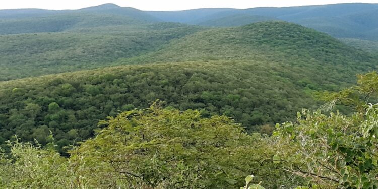 Challenges and opportunities for sustainability in Paraguay: A vision from the Tropical Forest Alliance