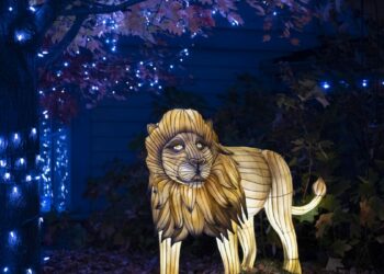 Cincinnati's PNC Festival of Lights named best zoo lights in America