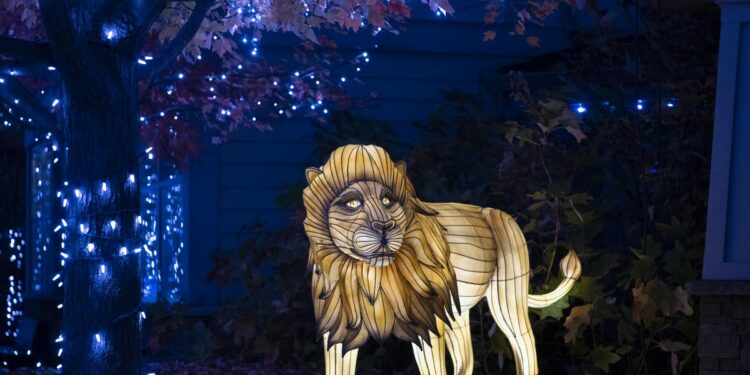 Cincinnati's PNC Festival of Lights named best zoo lights in America
