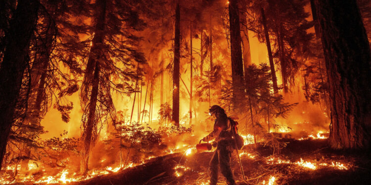 Satellites Reveal 'Exceptional' Wildfires Across Americas