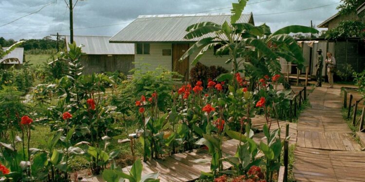 More than 900 people died in Jonestown, many from the Bay Area. Guyana wants to turn it into a tourist attraction – The Mercury News
