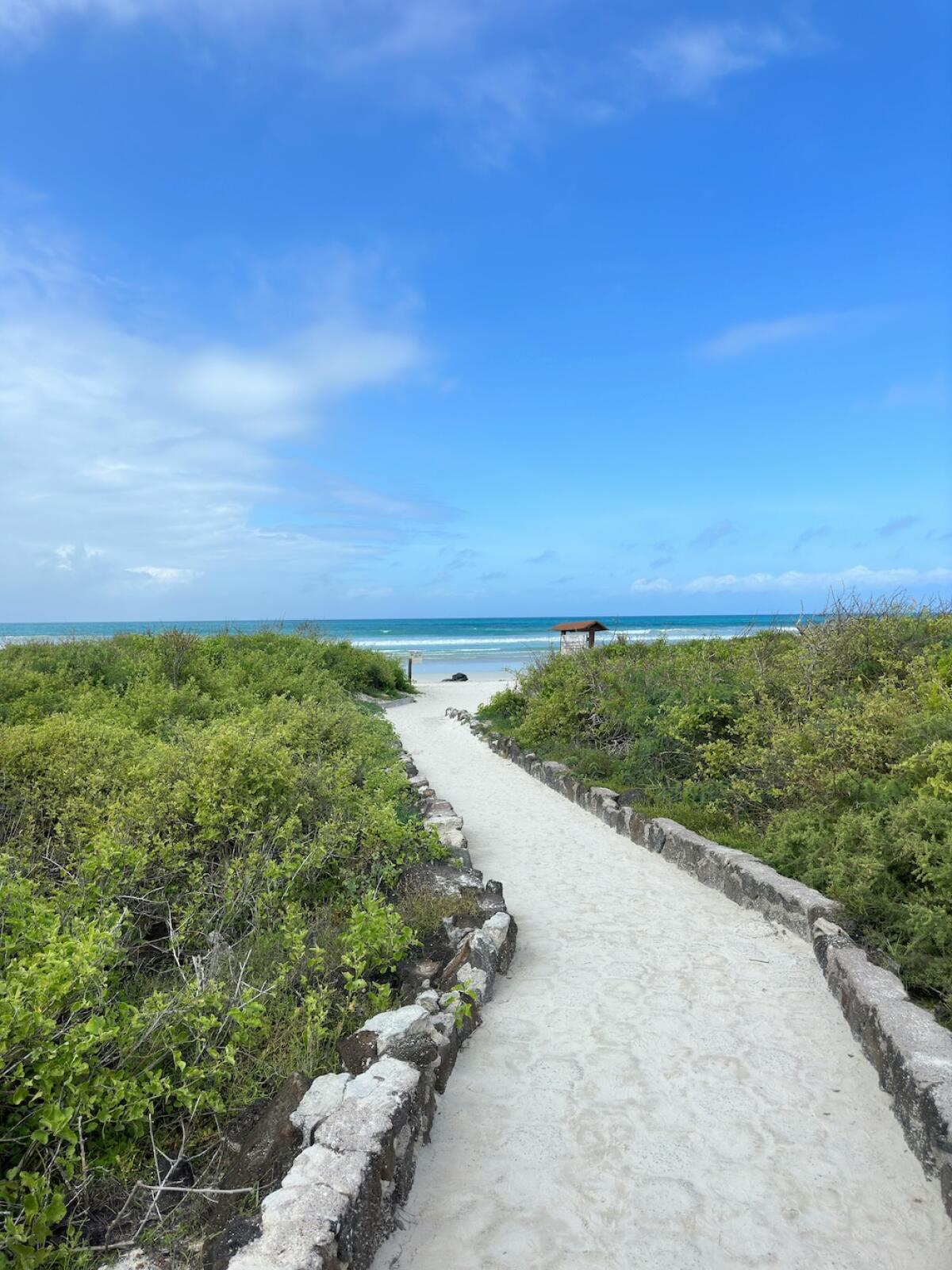 Galapagos Islands, Ecuador Walk way to beach.