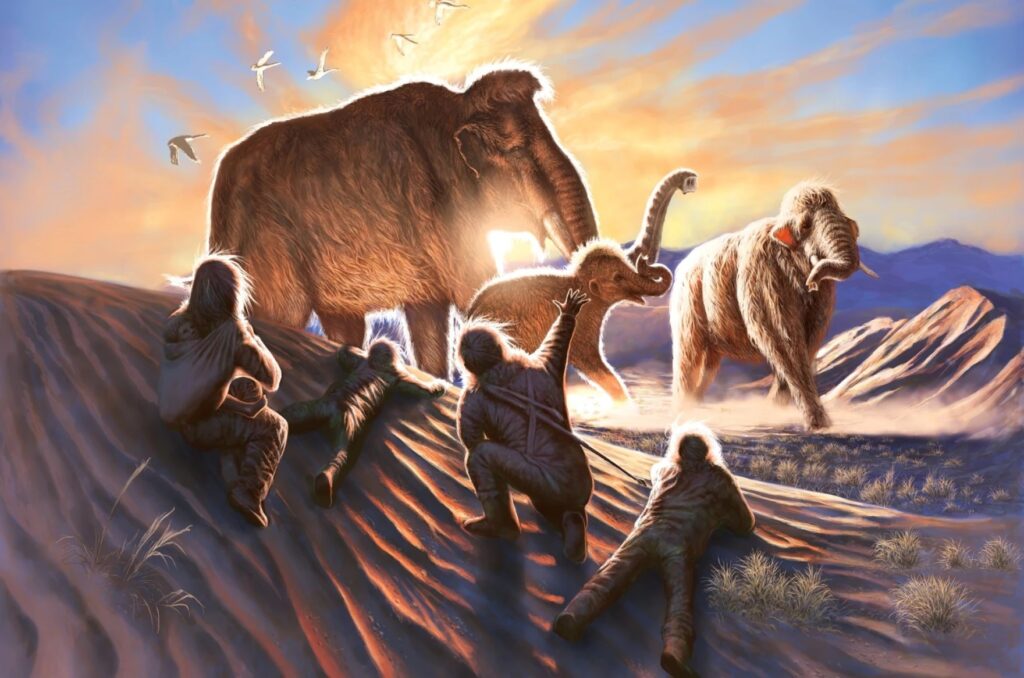 Earliest Americans ate a lot of mammoth, Alaska researchers say