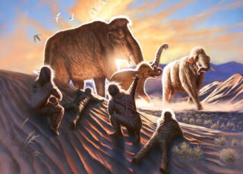 Earliest Americans ate a lot of mammoth, Alaska researchers say