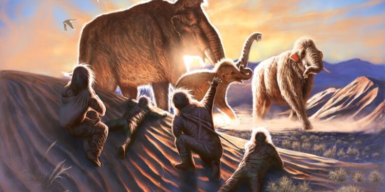 Earliest Americans ate a lot of mammoth, Alaska researchers say