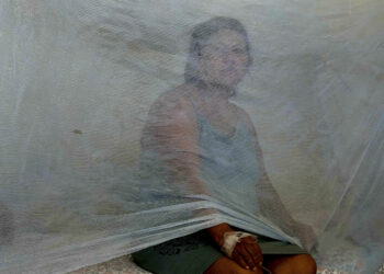 Concerns Raised as Dengue Spreads in the Americas at Record-Setting Pace