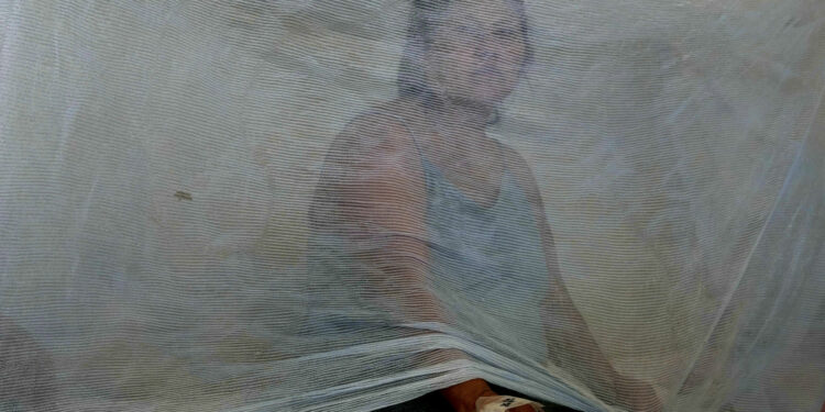 Concerns Raised as Dengue Spreads in the Americas at Record-Setting Pace