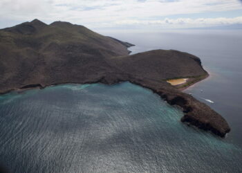 Ecuador prices nature swap bonds