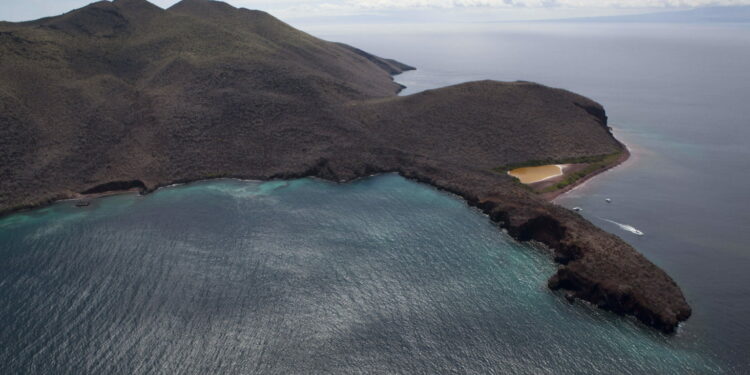 Ecuador prices nature swap bonds