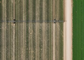 Arizona Sues Saudi-Owned Farm Draining Groundwater in the Desert – Mother Jones