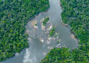 Field Museum scientists explore biodiversity, conservation in Amazon Basin