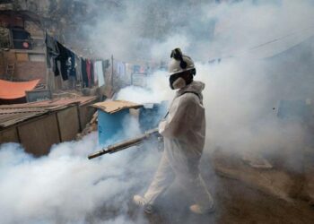 Central and South America Hit by Record-Breaking Dengue Fever Outbreak; Know All About Prevention