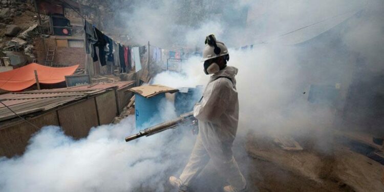 Central and South America Hit by Record-Breaking Dengue Fever Outbreak; Know All About Prevention