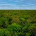 Latin America’s Gran Chaco Forest • The Revelator