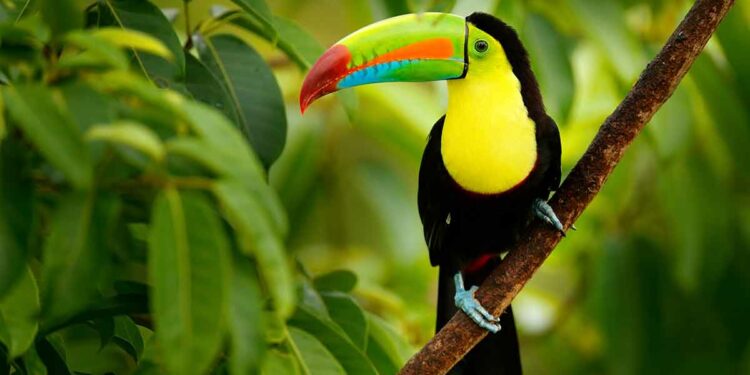 20 Amazing Costa Rica Landmarks To See In 2024