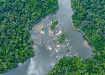 Chicago scientists, Indigenous peoples collaborate to conserve Amazon Basin