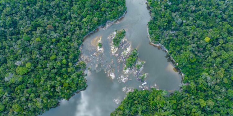 Chicago scientists, Indigenous peoples collaborate to conserve Amazon Basin