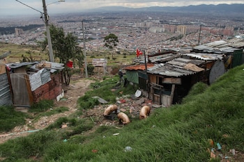 El índice de intensidad de la pobreza en Colombia está disminuyendo, según la Ocde - crédito Colprensa