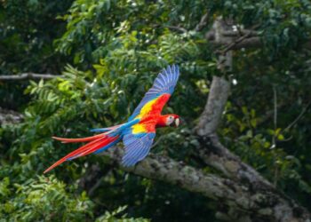 U.S. government raises warnings for two popular vacation destinations