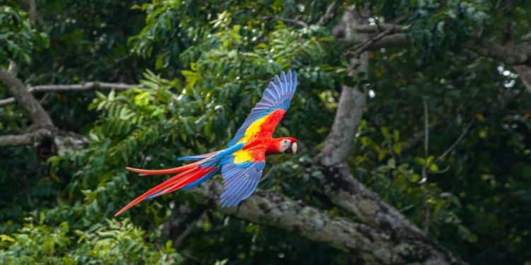 U.S. government raises warnings for two popular vacation destinations