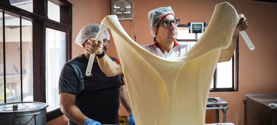 Guillermo desmenuza con su mano un queso mozzarella fresco para mostrar el proceso de producción artesanal que implica la elaboración de este tipo de queso.