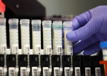 What We Know About America’s First ‘Severe’ Bird-Flu Case