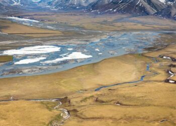 Dunleavy wants quick action by Trump to revoke Biden’s Alaska environmental policies