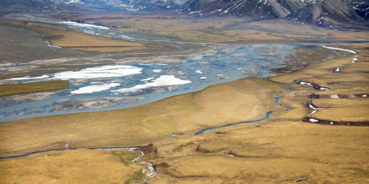 Dunleavy wants quick action by Trump to revoke Biden’s Alaska environmental policies