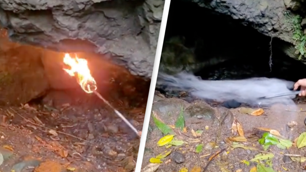 Shocking video shows 'Cave of Death' that people are forbidden from entering and kills anything inside - World News