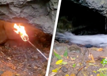 Shocking video shows 'Cave of Death' that people are forbidden from entering and kills anything inside - World News