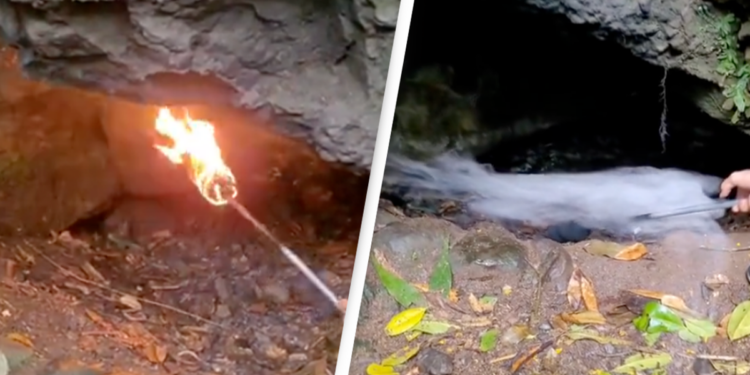 Shocking video shows 'Cave of Death' that people are forbidden from entering and kills anything inside - World News