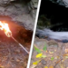 Shocking video shows 'Cave of Death' that people are forbidden from entering and kills anything inside - World News